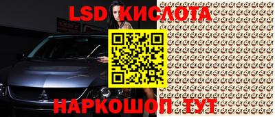 мескалин Камышлов