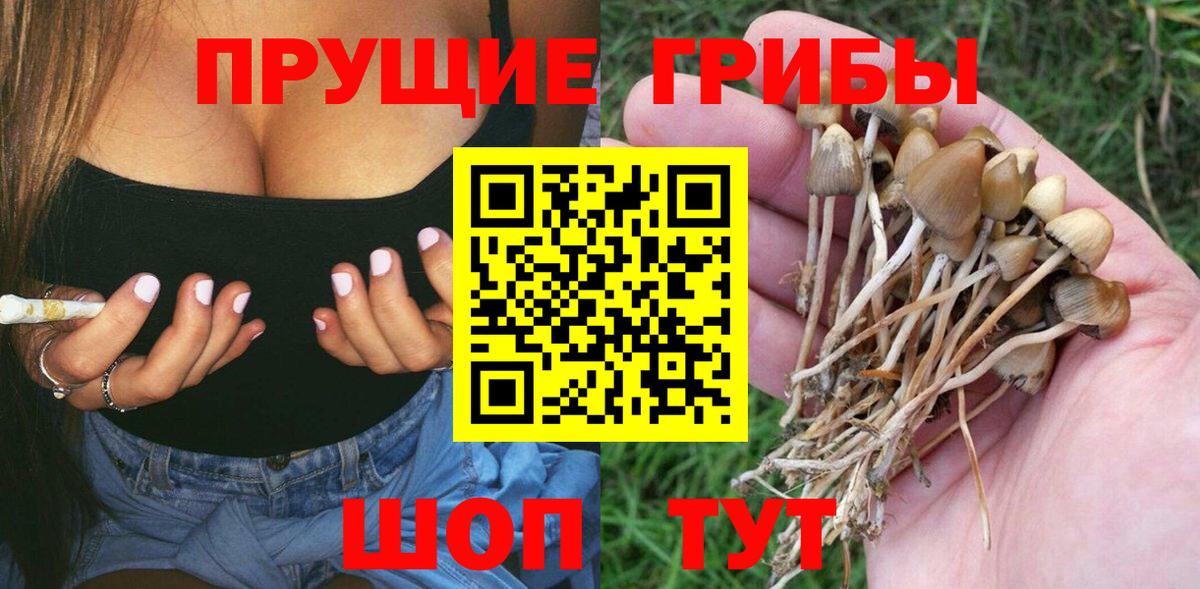 Ханты-Мансийск  Галлюциногенные грибы GOLDEN TEACHER  Вход с VPN 